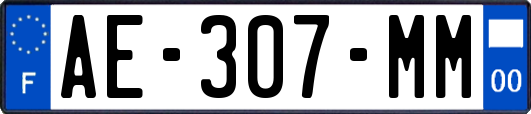AE-307-MM