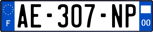 AE-307-NP