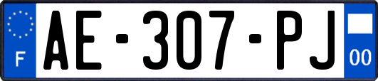 AE-307-PJ