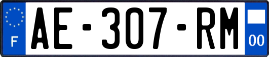 AE-307-RM