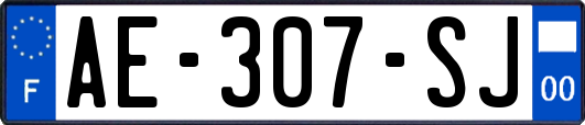 AE-307-SJ