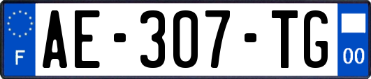 AE-307-TG