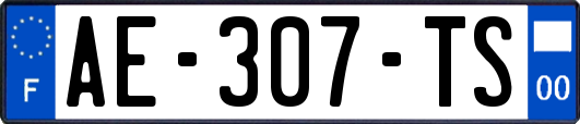 AE-307-TS