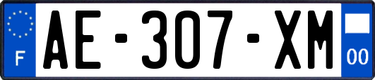 AE-307-XM