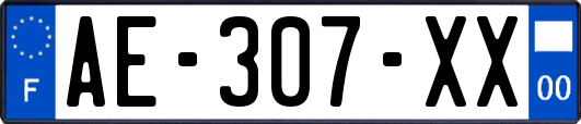 AE-307-XX