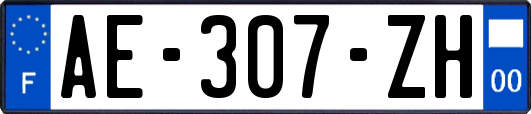 AE-307-ZH