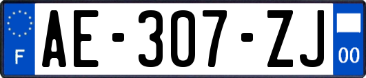 AE-307-ZJ