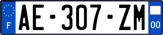 AE-307-ZM