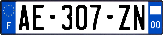 AE-307-ZN