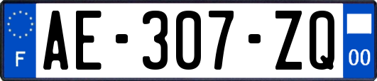 AE-307-ZQ