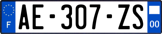 AE-307-ZS