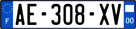 AE-308-XV