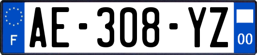 AE-308-YZ