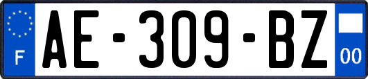 AE-309-BZ