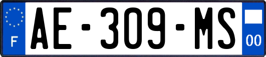 AE-309-MS