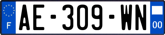 AE-309-WN