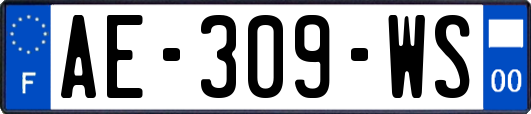 AE-309-WS
