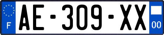 AE-309-XX