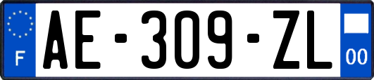 AE-309-ZL