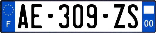 AE-309-ZS