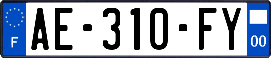 AE-310-FY