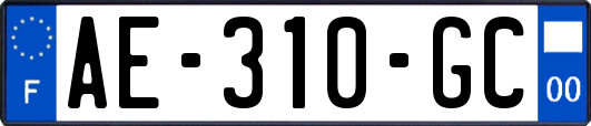 AE-310-GC