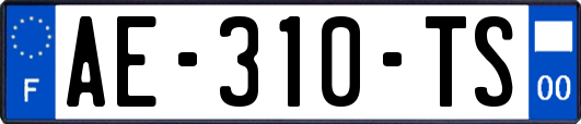 AE-310-TS