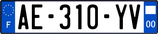 AE-310-YV