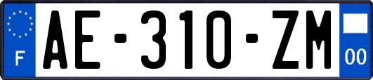 AE-310-ZM