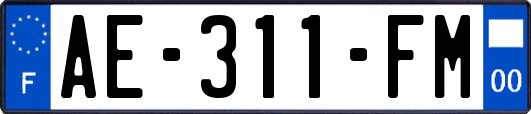 AE-311-FM