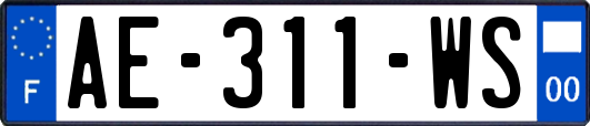 AE-311-WS