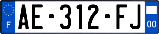 AE-312-FJ