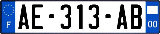 AE-313-AB