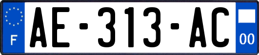 AE-313-AC