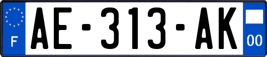 AE-313-AK