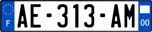 AE-313-AM