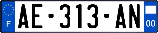 AE-313-AN