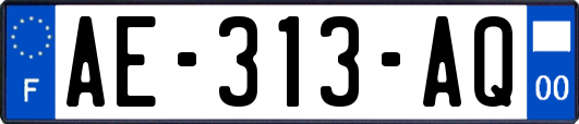 AE-313-AQ