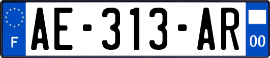 AE-313-AR