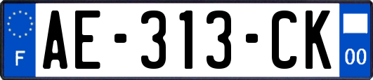 AE-313-CK