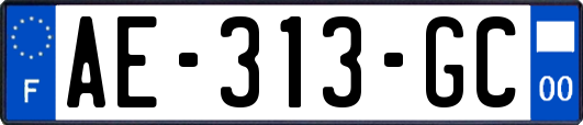 AE-313-GC