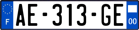 AE-313-GE