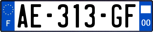 AE-313-GF