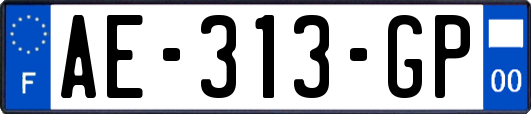 AE-313-GP