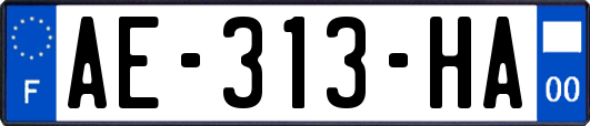 AE-313-HA