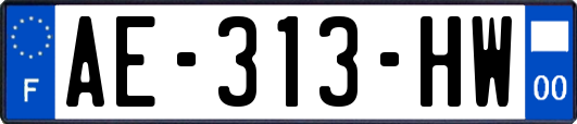 AE-313-HW