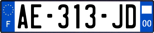 AE-313-JD