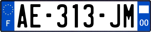 AE-313-JM