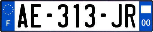 AE-313-JR