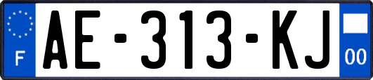 AE-313-KJ